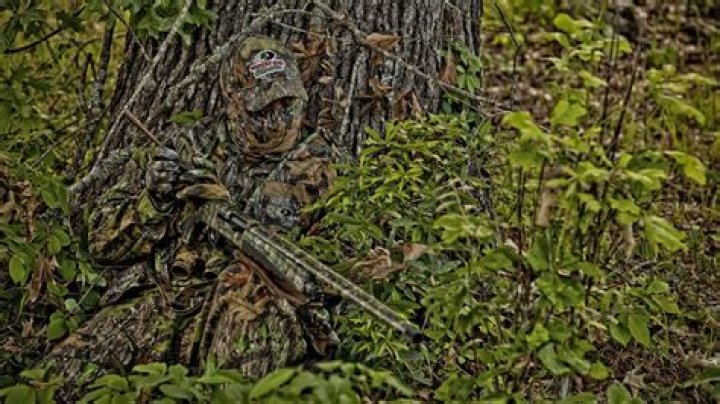 Where is mossy oak?