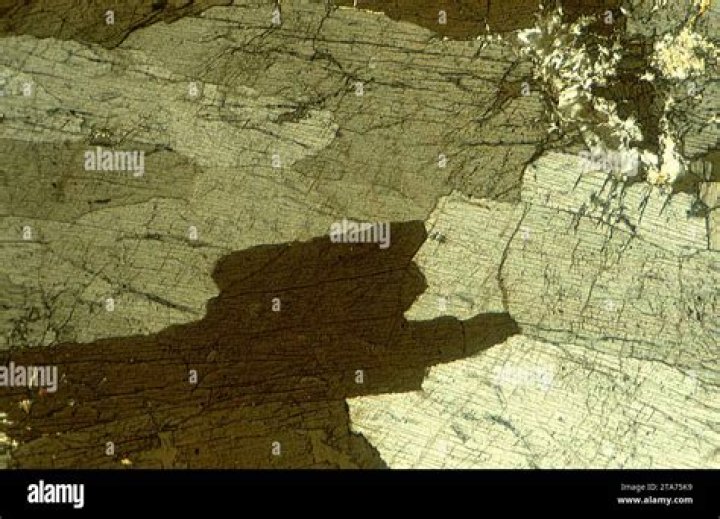 Where is nesosilicate found?