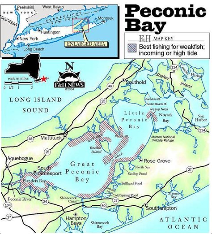 Where is peconic bay?