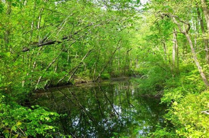 Where is rancocas state park?