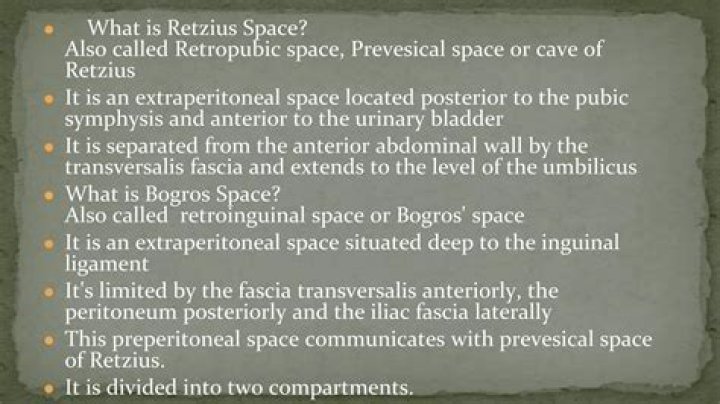 Where is retropubic space located?