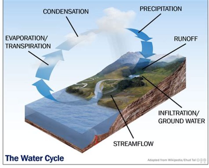 Where is runoff in the water cycle?