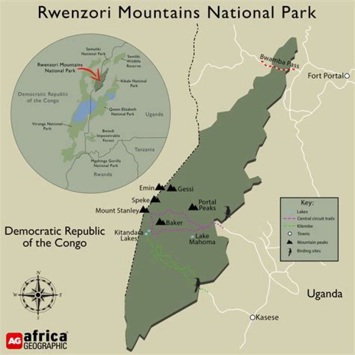Where is rwenzori located?