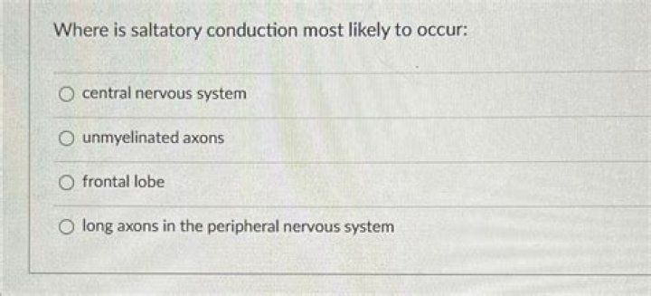 Where is saltatory conduction most likely to occur?