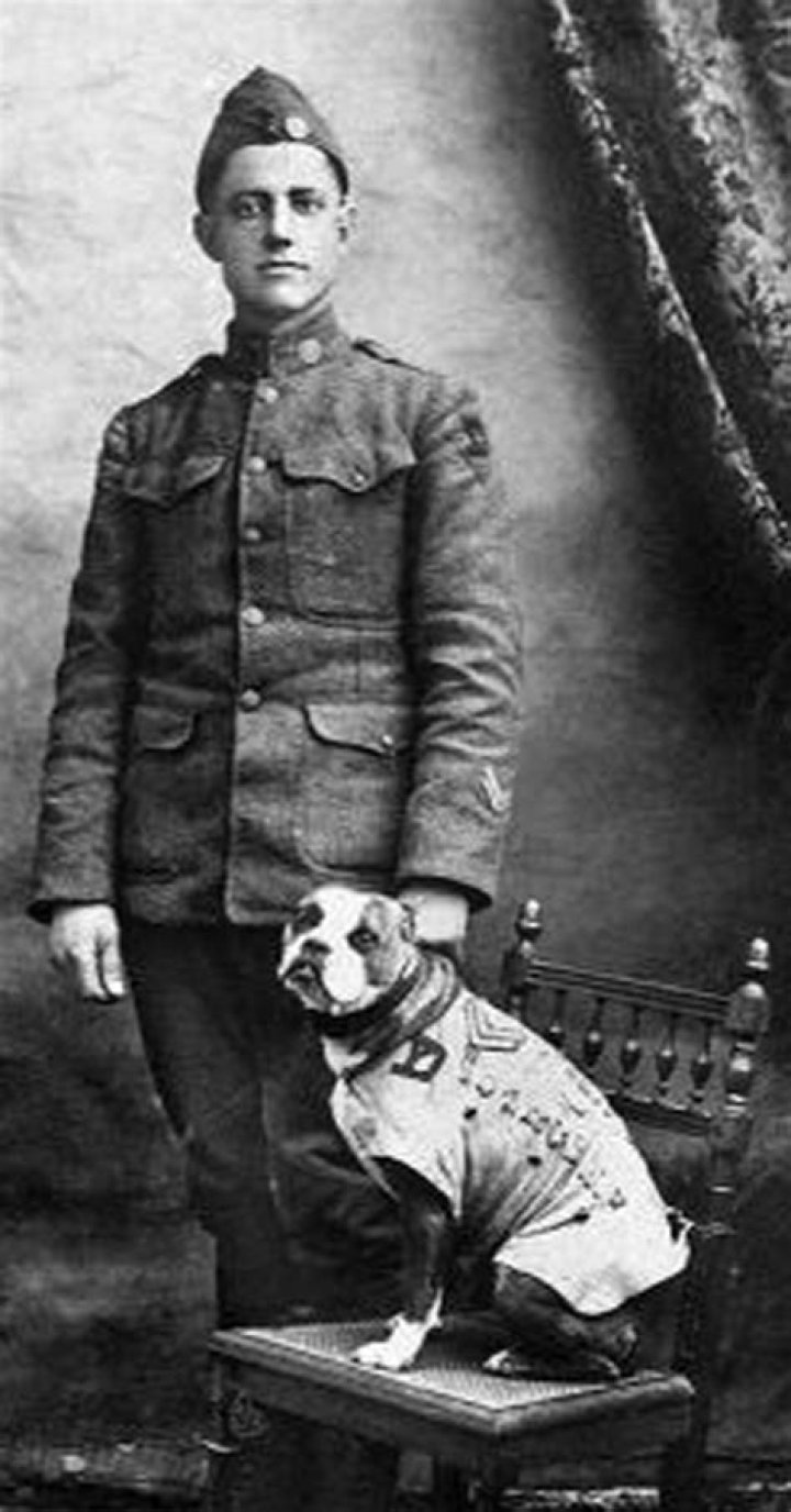 Where is sergeant stubby now?