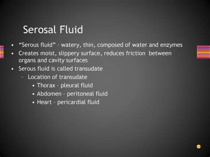 Where is serosal fluid found?