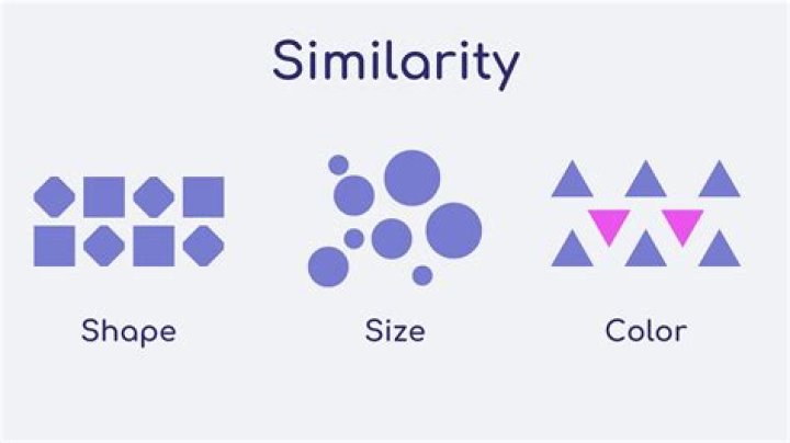Where is similarity used in real life?