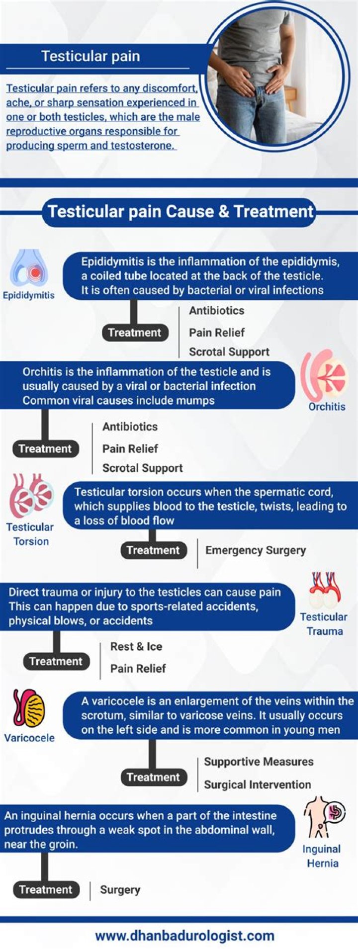 Where is testicular pain referred to?