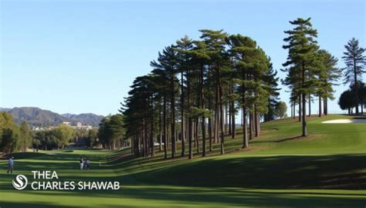 Where is the charles schwab challenge?