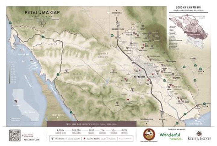 Where is the petaluma gap ava?