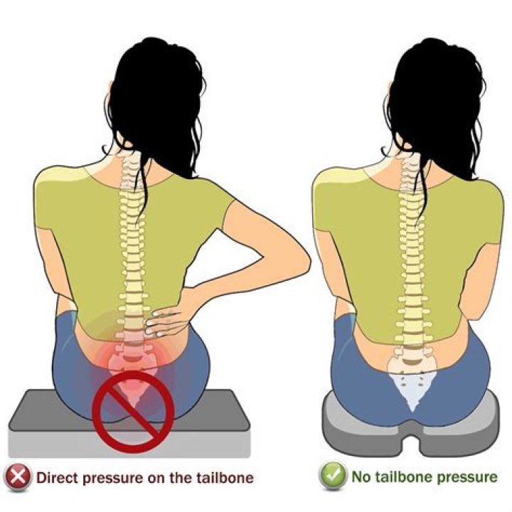 Where is your tailbone located?