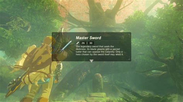 Where master sword botw?