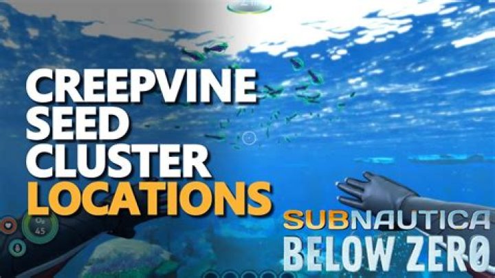 Where to find creepvine in subnautica?