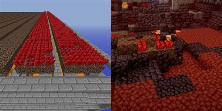 Where to find nether wart?