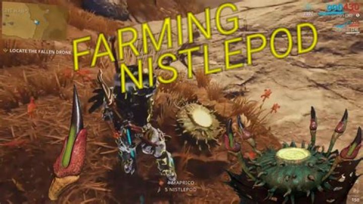 Where to find nistlepod?