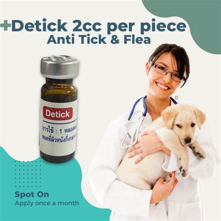 Where to put detick?