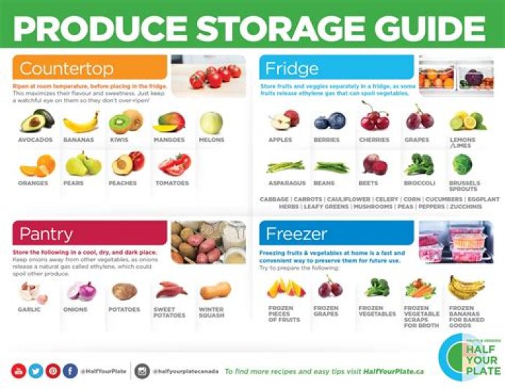 Where to store orgalutran?