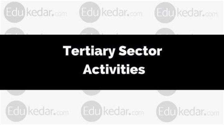 Which activities are categorised under tertiary sector?
