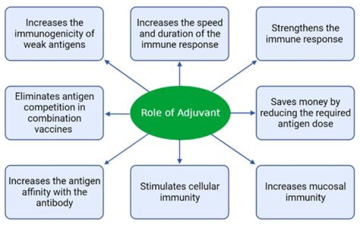 Which adjuvants are licensed in both us and eu?