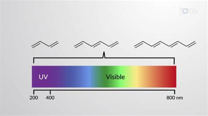 Which are colored chemical compounds that absorb light?