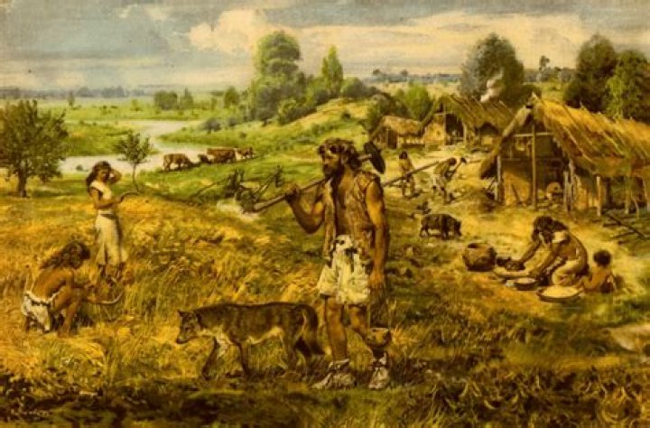 Which are hunting nomads?