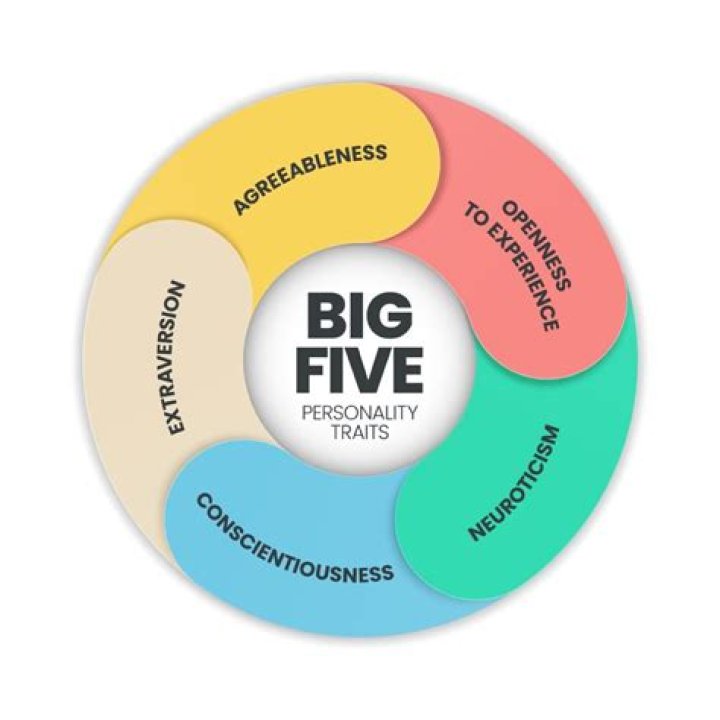 Which are the five dimensions that must be managed on a project?