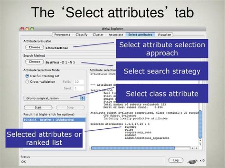 Which attribute sometimes displays tooltip text?