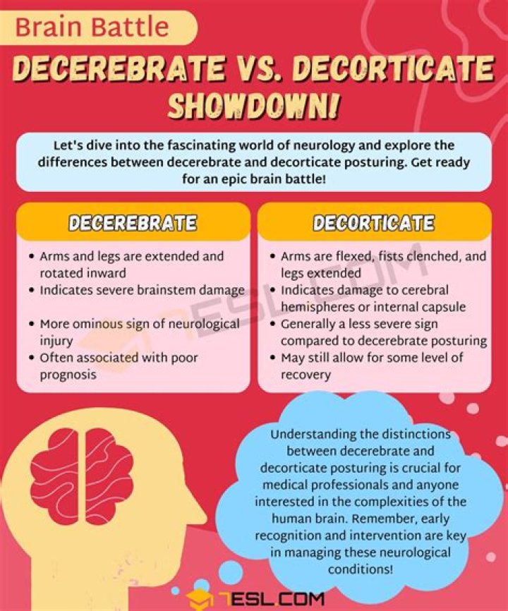 Which best describes decorticate posturing?