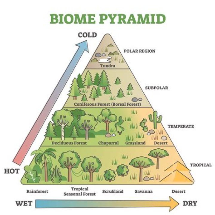 Which biomes have the highest productivity?