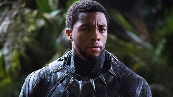 Which black panther actor died?