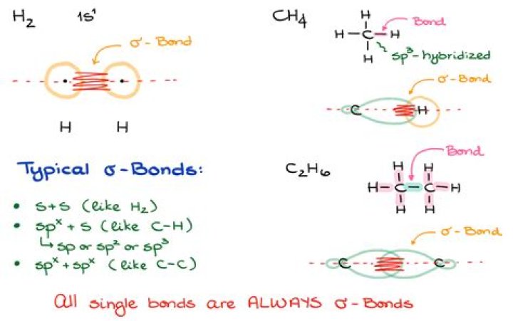 Which bonds are directional?