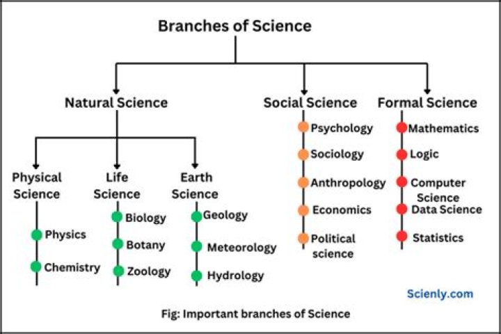 Which branch of chemistry studies reaction rates?