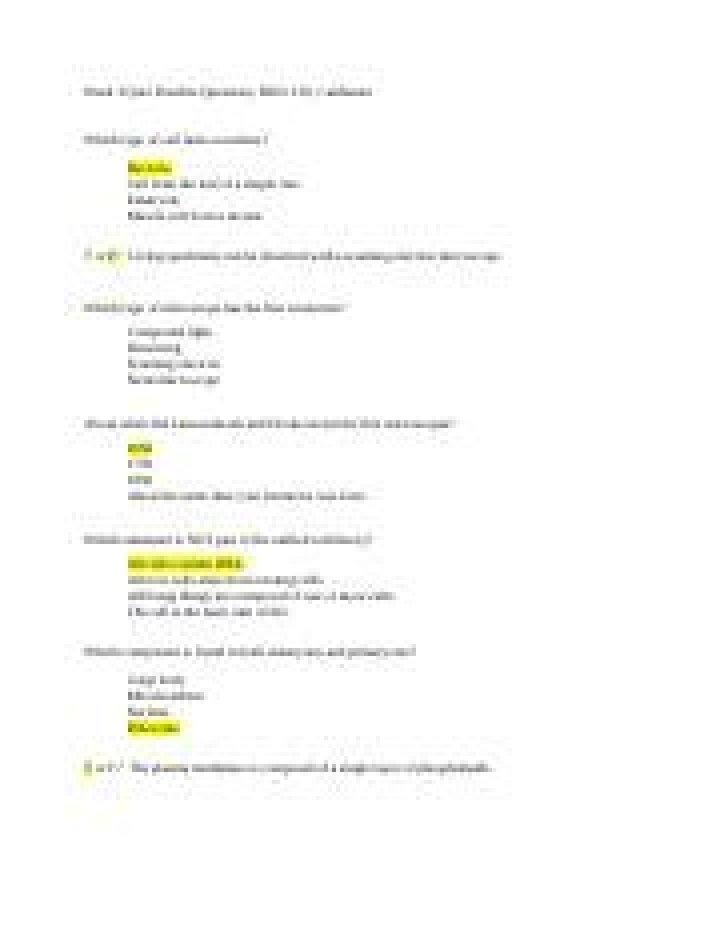 Which breaks down worn-out organelles?