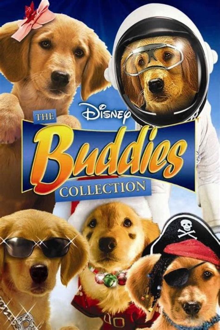 Which buddies movie came first?