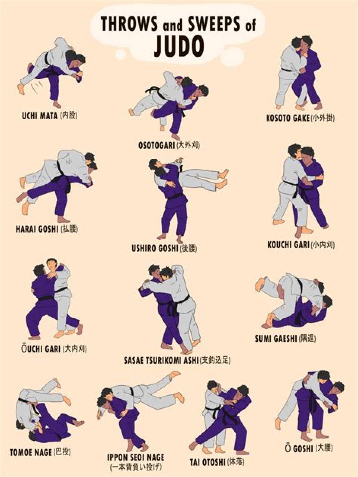 Which country is judo from?