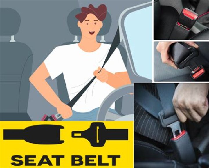 Which country made seat belts mandatory?