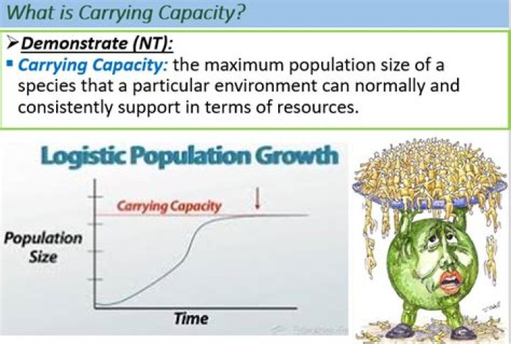 Which determines carrying capacity?