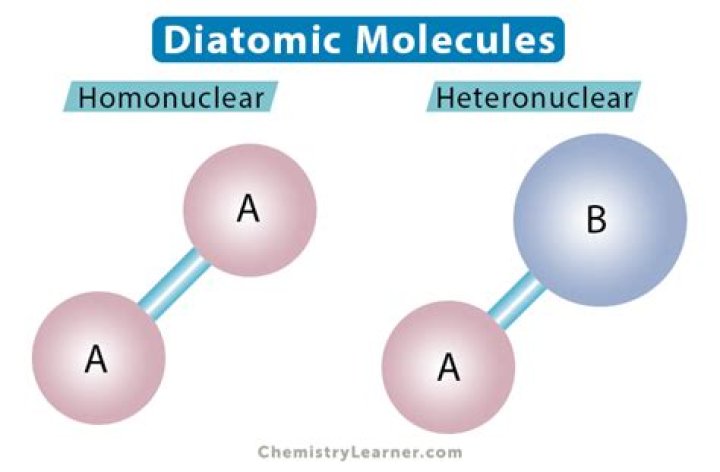 Which diatomic molecules are paramagnetic?