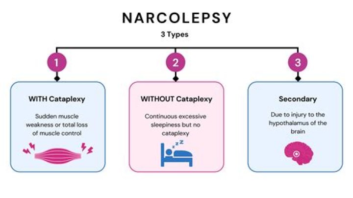 Which doctor treats cataplexy?