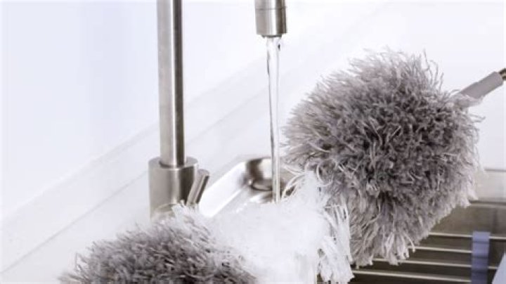 Which duster is best?