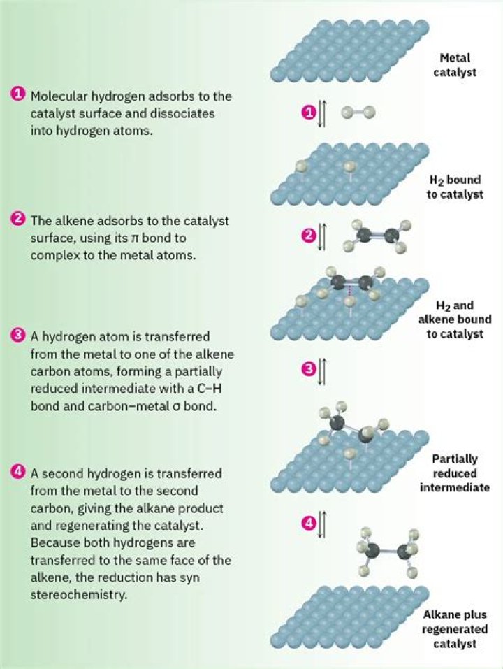 Which fat is created by hydrogenating oils quizlet?