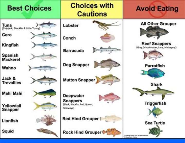Which fish is best for breading?