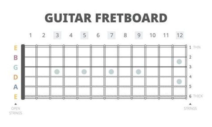 Which fretboard is better?