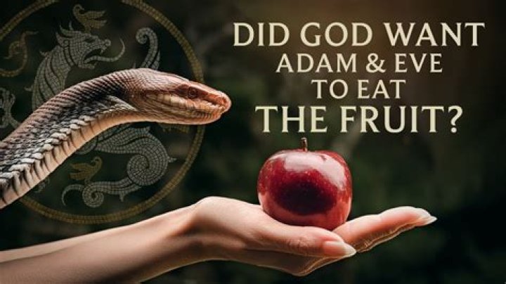 Which fruit adam and eve ate?