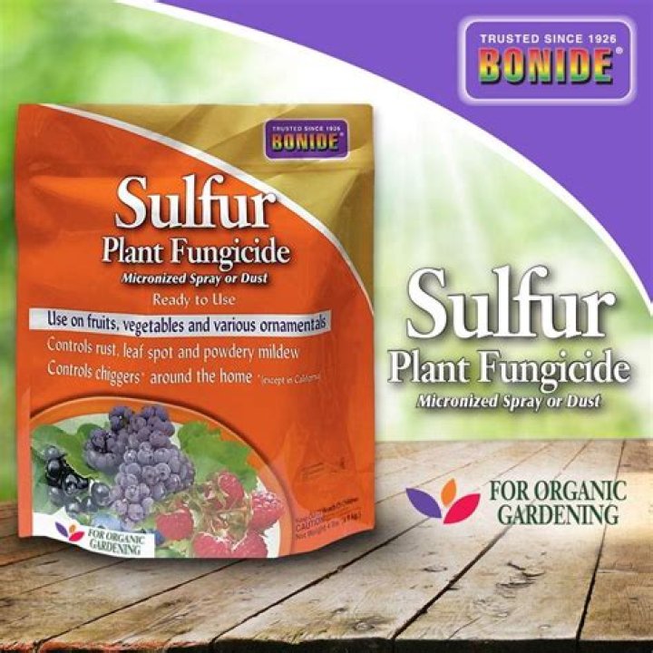 Which fungicide is best for powdery mildew?
