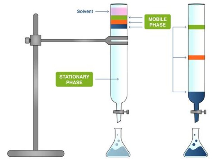 Which gas is ideal as the mobile phase in a chromatography?