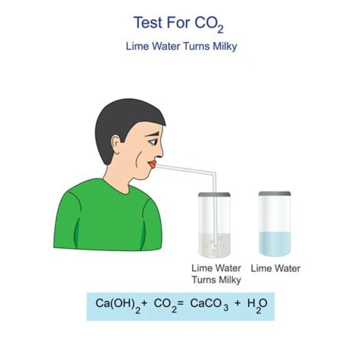 Which gas makes limewater turn cloudy?