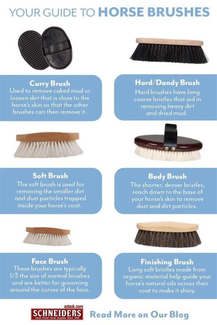 Which haas brushes for grey horses?