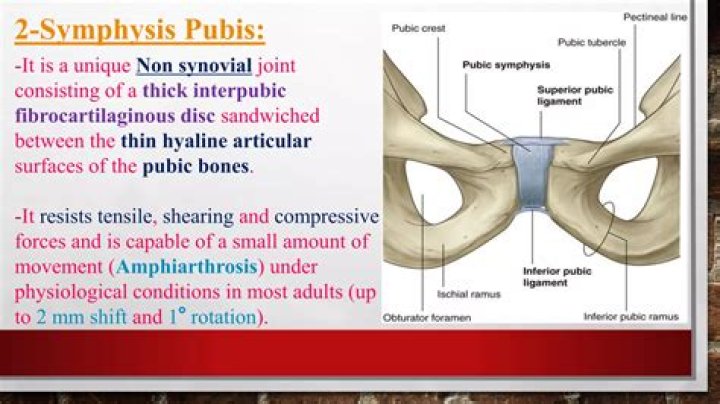 Which hormone increases flexibility of the pubic symphysis?