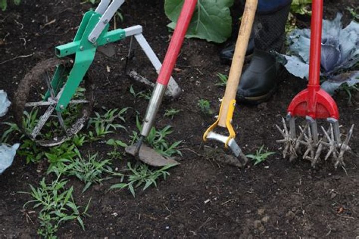 Which implement is used for weeding?